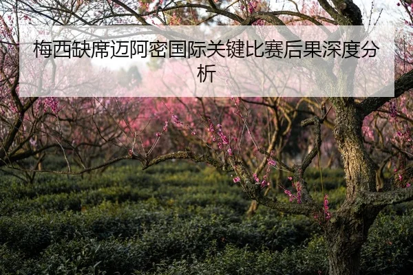 梅西缺席迈阿密国际关键比赛后果深度分析