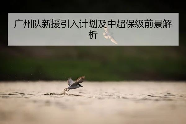 广州队新援引入计划及中超保级前景解析